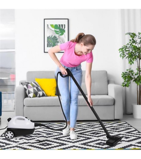 ZOKOP ZSC-1 1500W ETL Certification American UL Plug Stainless Steel Pot Steam Cleaner 19 Accessories - White